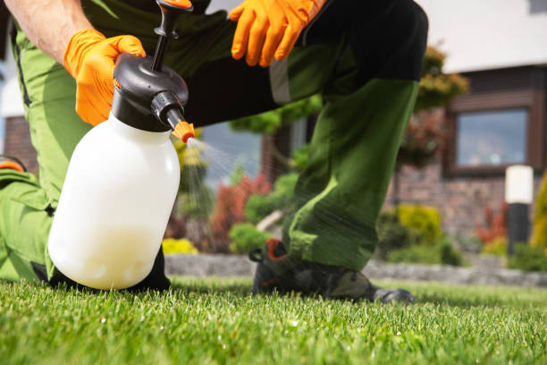 Best Best Pest Control Companies  in Oaklawn Sunview, KS