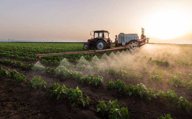Best Best Pest Control Companies  in Oaklawn Sunview, KS