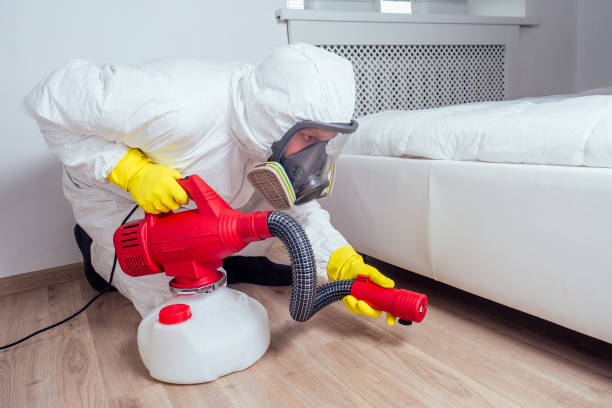 Best Affordable Pest Control Services  in Oaklawn Sunview, KS
