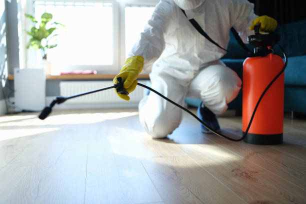 Best Local Pest Control Services  in Oaklawn Sunview, KS