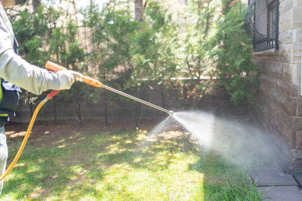Wasp Removal Services in Oaklawn Sunview, KS