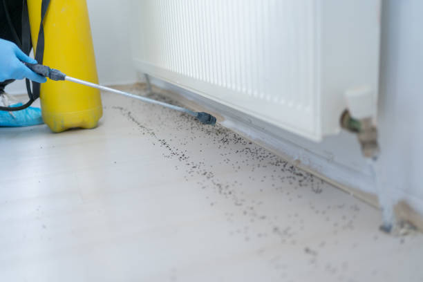 Best Mosquito Control Services  in Oaklawn Sunview, KS